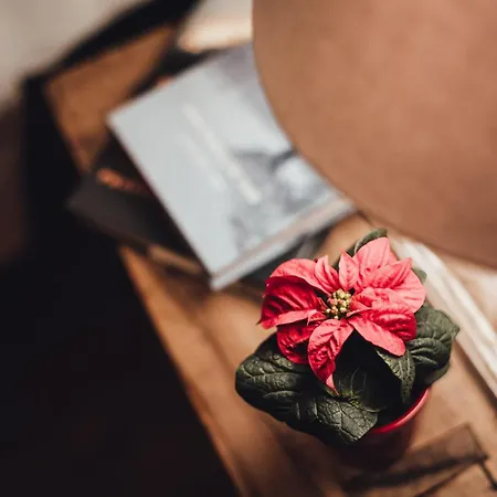 Maison Carrel Elegant 1